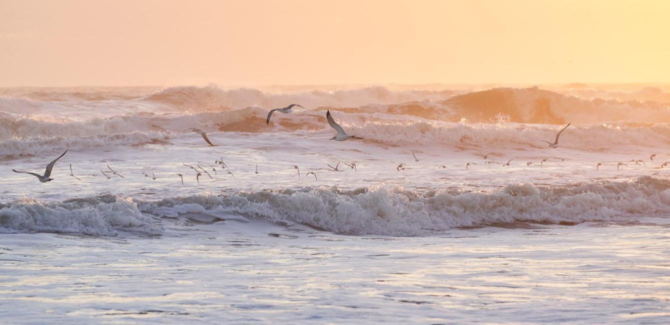 The Maverick Ormond Beach Kültér fotó